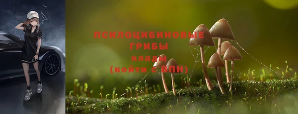 первитин Абаза