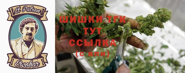 молекула духа Алексеевка