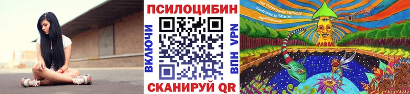 Галлюциногенные грибы Psilocybine cubensis Алушта