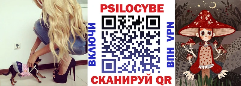 Псилоцибиновые грибы Magic Shrooms  закладка  Алушта 